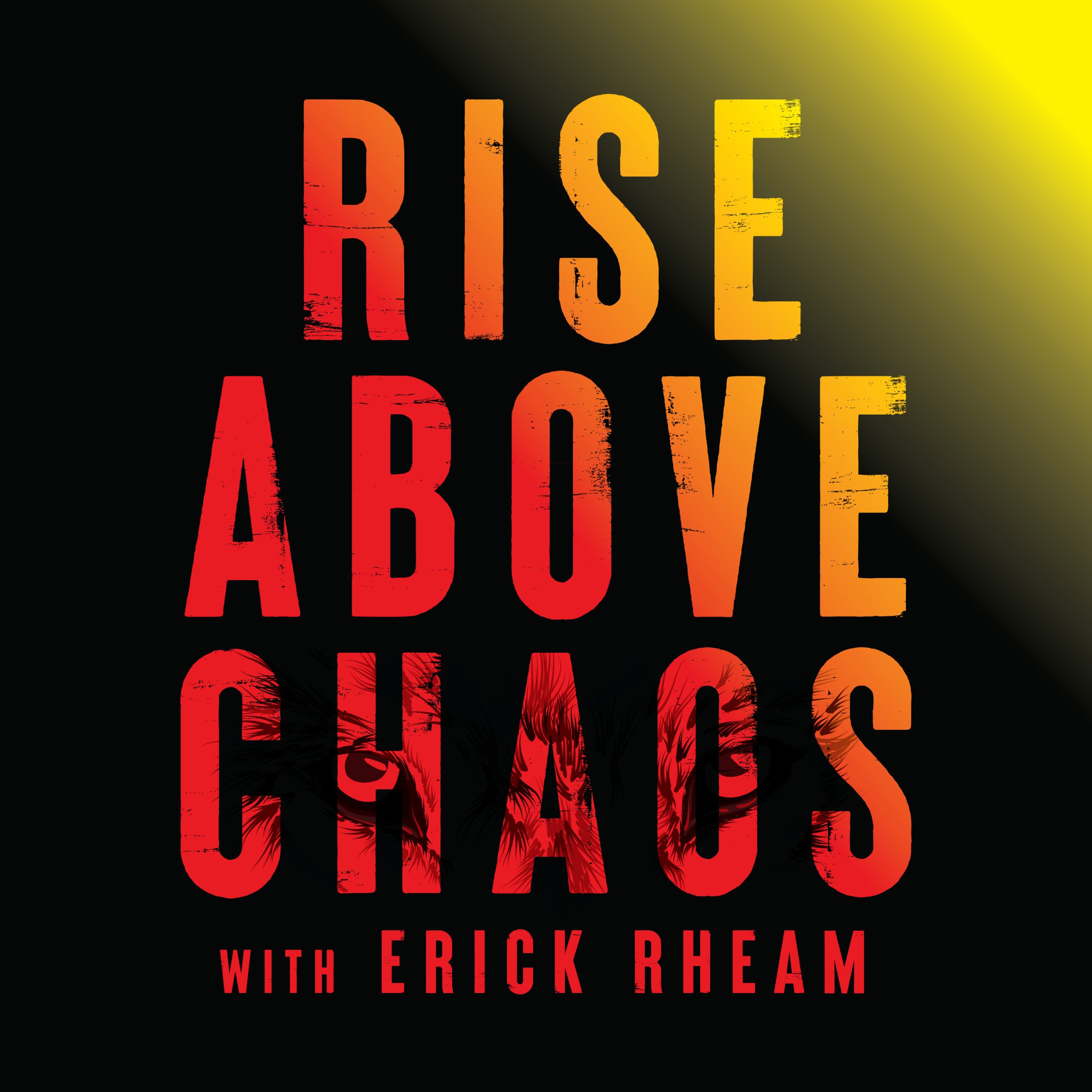 #100: Reflecting on the Rise Above Chaos Journey